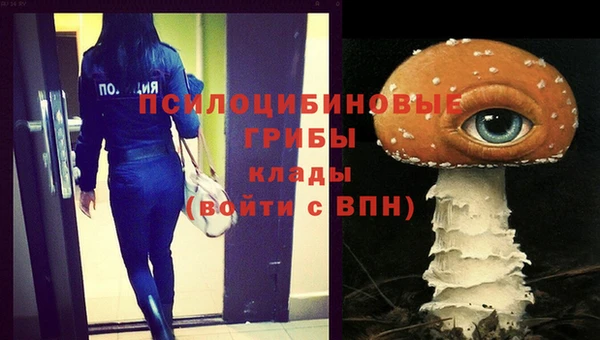 хмурый Алексеевка